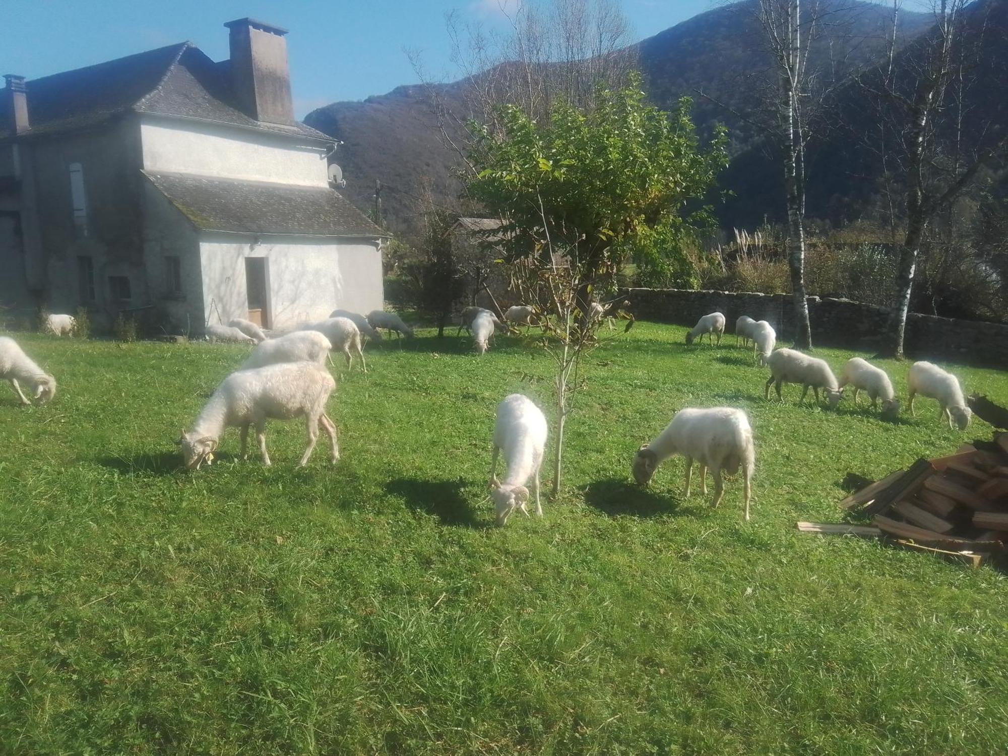 Gite Maison Chourrist Capbis Eksteriør bilde